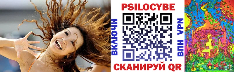 блэк спрут как войти  Бузулук  Галлюциногенные грибы ЛСД 